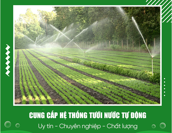 Tưới Nước Tự Động