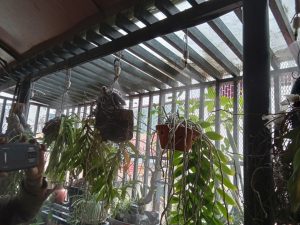 Hệ thống tưới phun sương 4 chiều