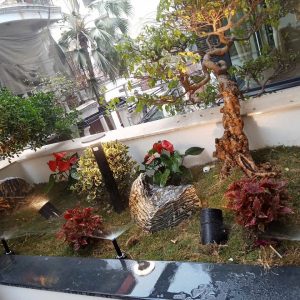 Hệ thống tưới phun mưa 360 điều chỉnh được góc tưới